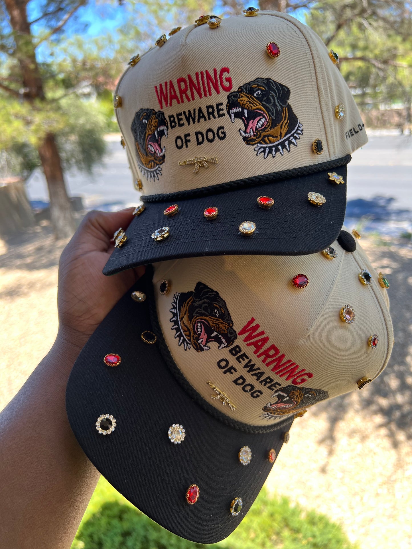 Custom “Beware of Dog”