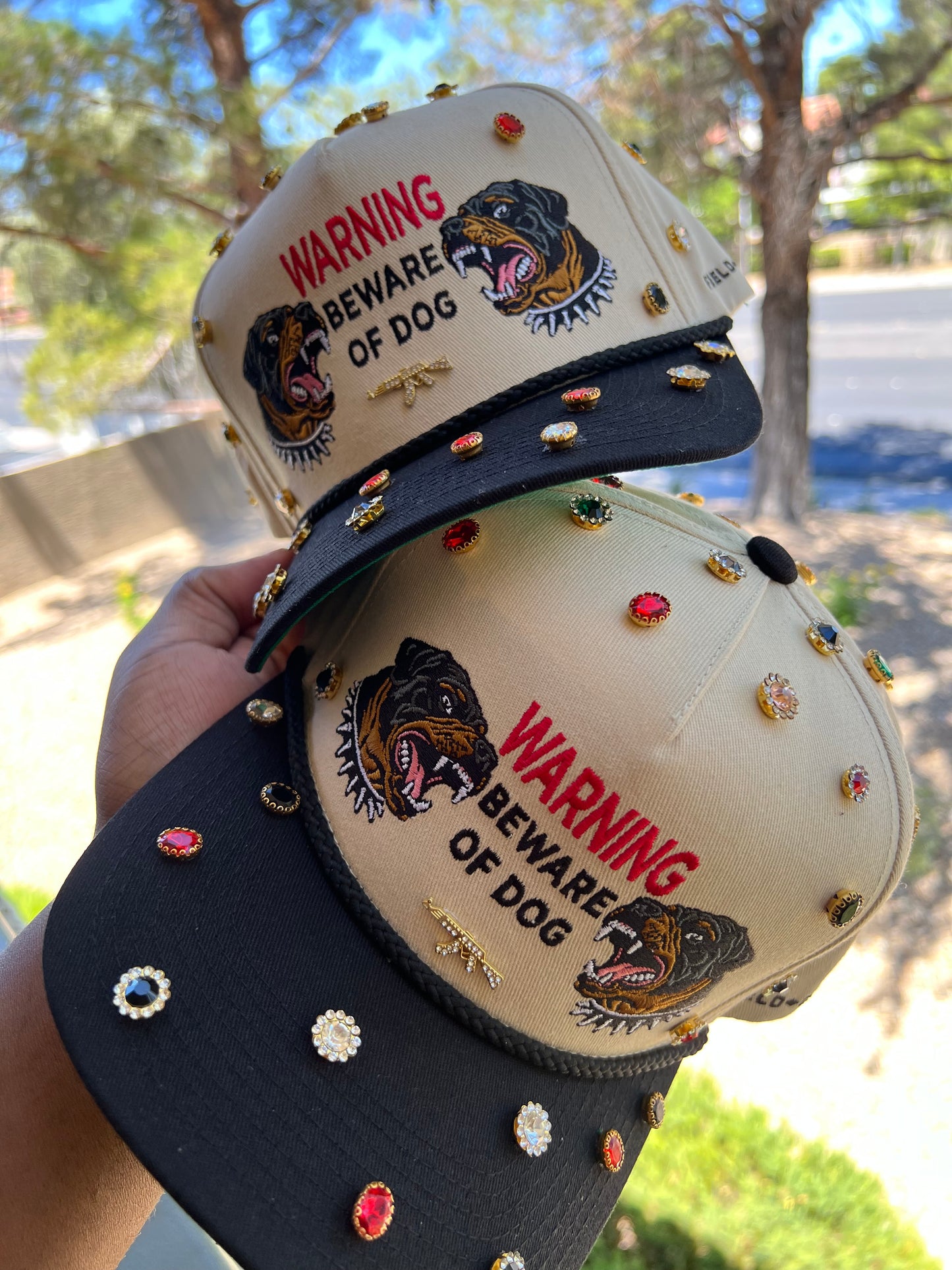 Custom “Beware of Dog”